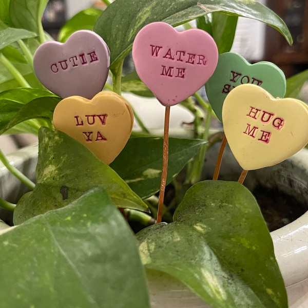Candy Hearts Plant Stakes, Valentine’s Day Garden Markers, Gift for plant lover, gardener, Cute funny Valentine