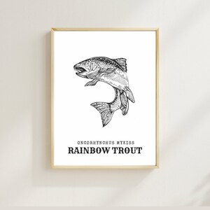 Rainbow Trout- Digital Wall art