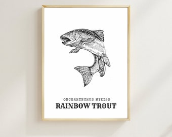 Rainbow Trout- Digital Wall art
