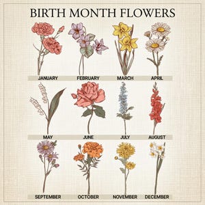 May include: A floral chart titled "BIRTH MONTH FLOWERS" displays illustrations of flowers for each month. The flowers include carnations, violets, daffodils, daisies, lily of the valley, roses, larkspur, gladiolus, asters, marigolds, chrysanthemums, and narcissus.