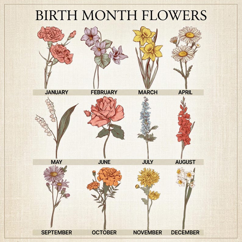 May include: A floral chart titled "BIRTH MONTH FLOWERS" displays illustrations of flowers for each month. The flowers include carnations, violets, daffodils, daisies, lily of the valley, roses, larkspur, gladiolus, asters, marigolds, chrysanthemums, and narcissus.