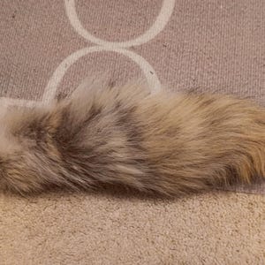 Coyote tail
