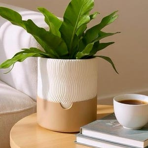 May include: A white and tan ceramic planter with a textured wave design, holding a green plant. A white teacup and two books sit on a small wooden table. The scene is set indoors.
