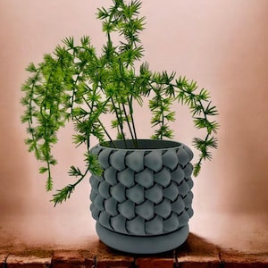 GeoPetal 3D Printed Modern Planter with Saucer and Drainage Holes, Multiple Sizes and Colors, Indoor Outdoor Plant Decor