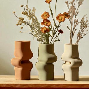 Vase, modern abstract vase, biodegradable PLA, geometric decor, dried flower display, minimalist home decor