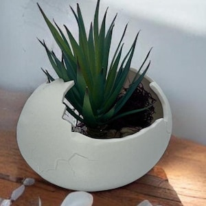 Eggshell Planter | Modern Succulent Pot | Available in Multiple Colors | Ideal for Home or Office Decor - Crackle bloom | Cute |