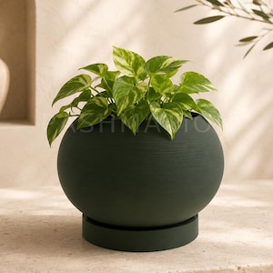 May include: A dark green, spherical planter with a matching saucer holds a vibrant green and yellow plant. The planter has a textured surface and sits on a light-coloured surface. A neutral background with a vase and foliage is visible.