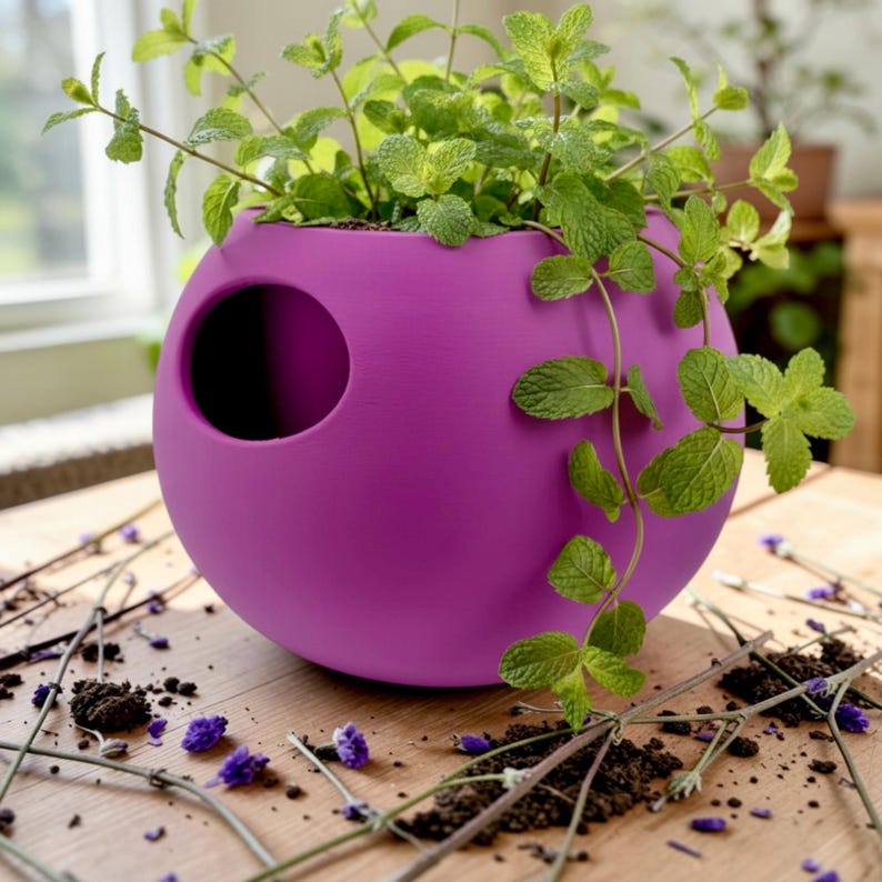 Puede incluir: Una maceta esf&eacute;rica de color p&uacute;rpura vibrante con una gran abertura circular. Las exuberantes plantas de menta verde se desbordan por la parte superior y los lados. La maceta se encuentra sobre una superficie de madera salpicada de peque&ntilde;as flores y ramitas moradas.