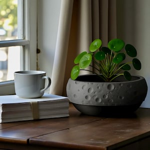 Moon Terrain Modern Planter 10in Wide Desktop Succulent Bowl Lunar Decor Indoor Pot Office Gift