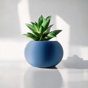 Spherical planters, minimalist design for indoor plants, colorful home decor accent, contemporary plant pot for small to medium plants