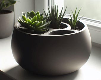 Puede incluir: Un macetero de cerámica gris oscuro con tres compartimentos separados, cada uno con un tipo diferente de planta suculenta.