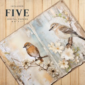 Vintage Bird Watercolor Junk Journal Kit, Digital Collage, Printable ...