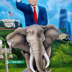 President Donald Trump