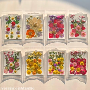 Lindas flores e folhas reais prensadas e secas para resina, joias DIY, fabricação de cartões, arranjos florais, fabricação de marcadores de página, capa de telefone, vela