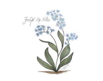 Watercolor Painting Forget Me Not