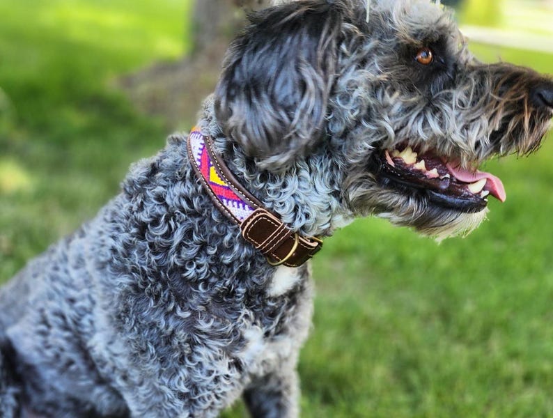 Colorful bohemian dog collar handcrafted in Morocco from genuine leather and Berber textile