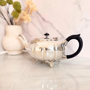 May include: A silver teapot with a black handle and a black knob on the lid. The teapot has a rounded body and sits on three small feet. A white vase with dried flowers is in the background.