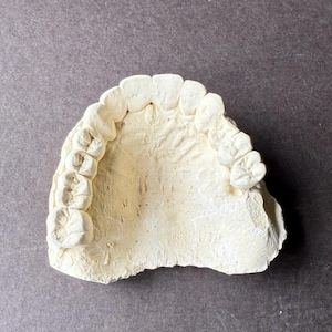 Vintage Teeth Casting - Top and Bottom Hinged, Art Project Cast Plaster Finding - 3 pieces