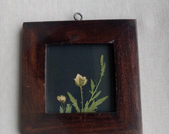 real pressed wildflower art