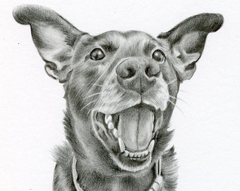 Cat Art size 4 x 4 OR 5 x 5 Custom Pet Drawing Graphite Dog Pencil Drawing Custom Pet Portrait Custom Pencil Drawing Dog Portrait
