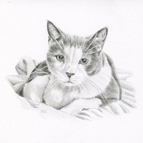 Cat Art size 4 x 4 OR 5 x 5 Custom Pet Drawing Graphite Dog Pencil Drawing Custom Pet Portrait Custom Pencil Drawing Dog Portrait