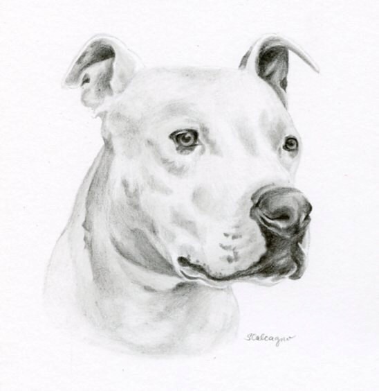 Dessin Realiste Personnalise Danimal Familier De Crayon Etsy Dessin Realiste Personnalise Danimal Familier De Crayon Etsy