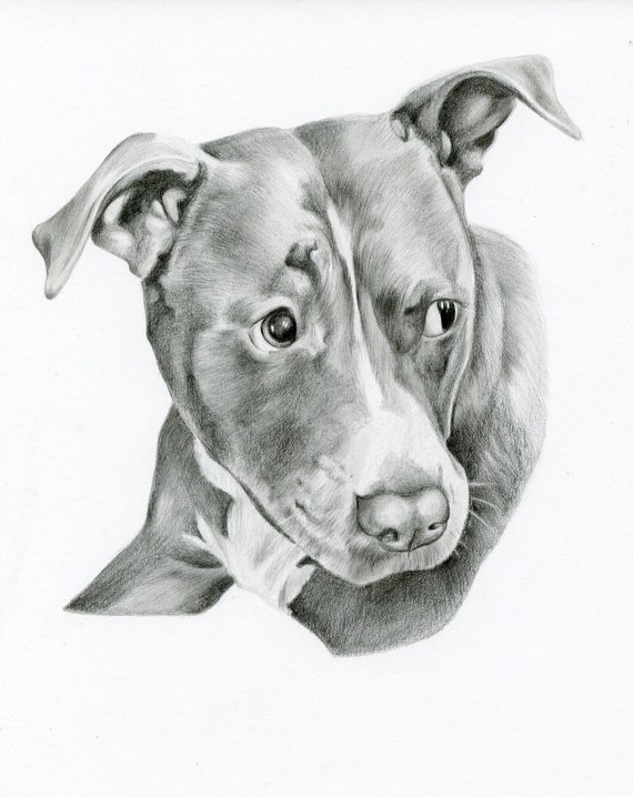 Samos17 Portraitiste