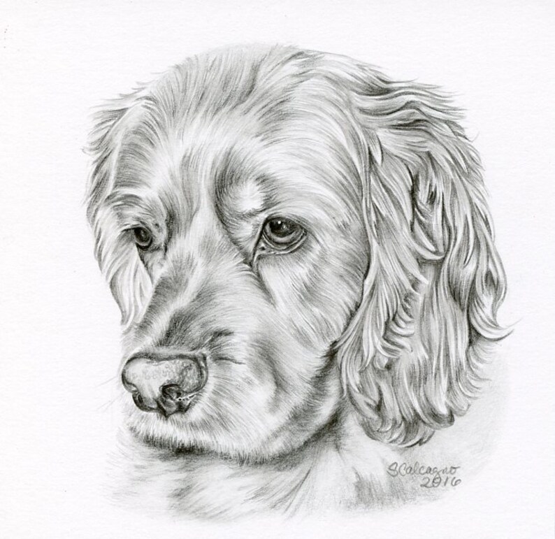 Disegno Di Schizzo Matita Per Cane Personalizzato Dimensione Etsy