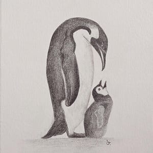 Handmade Pencil Drawing - Custom Drawings - Animal Drawings - Penguin - Art