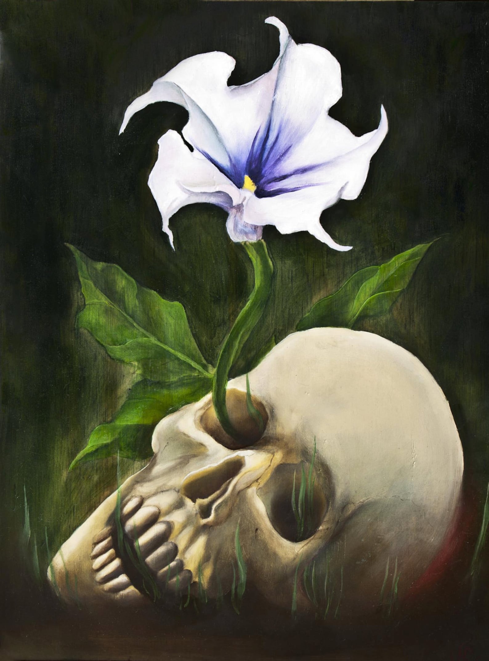 Vita Brevis Open Edition Fine Art Print Oil Painting Etsy