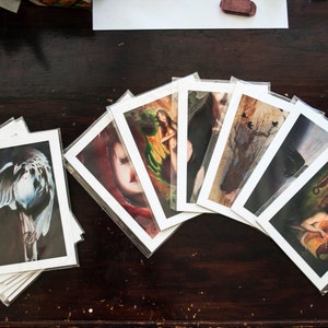 May include: A collection of art prints featuring various subjects, including a bird, a woman, and a tree. The prints are displayed in a fan shape on a wooden surface.