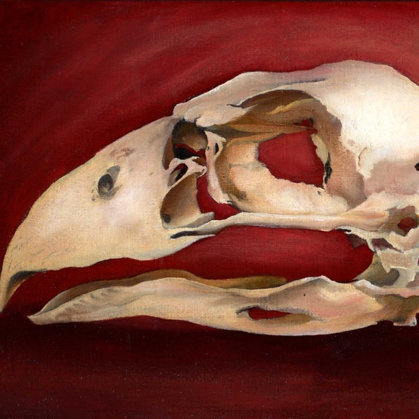 Terror Bird Skull, Open Edition fine art print, skeleton, death, bird of prey, dinosaur, Janae Corrado Art