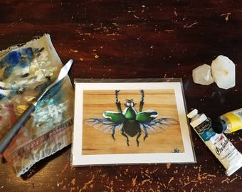 Mini Print - Chrysina - scarab beetle, insect still life, bug in flight, beetle taxidermy, entomology specimen print