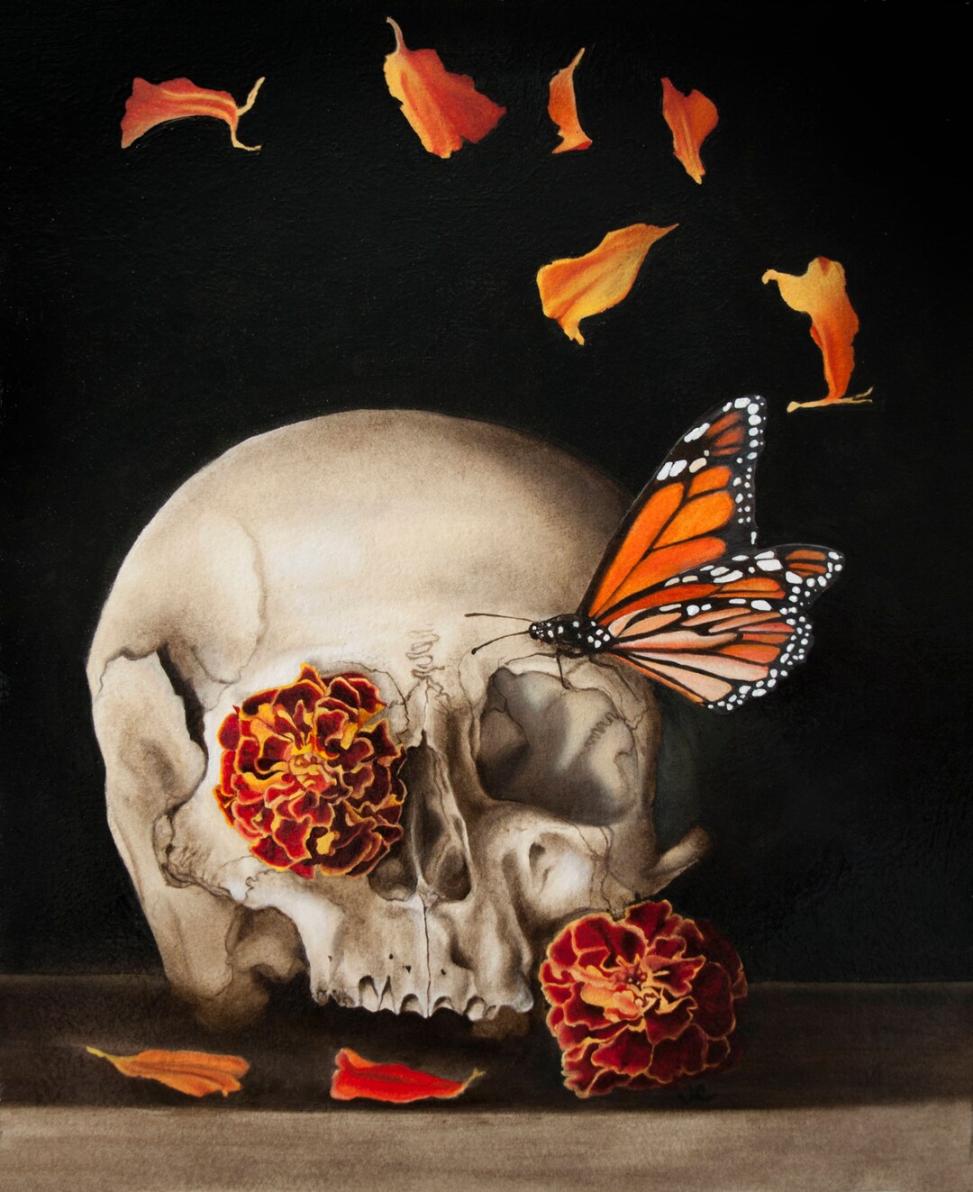 Remnants - Fine Art Print, Multiple Sizes - Skull Flower