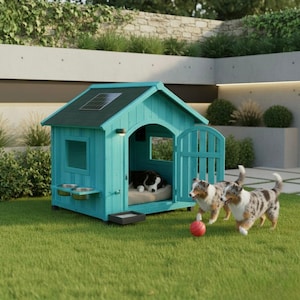 May include: A turquoise wooden dog house with a dark green roof, a small window, and a door. The dog house has a solar panel on the roof and two stainless steel bowls. Two dogs are playing with a red ball in the grass.