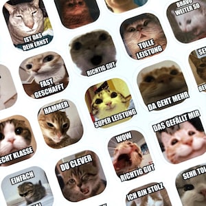 DEUTSCH 40 Stickers mèmes chatons chatons | Plus de 150 modèles | Achetez-en un, obtenez-en un gratuitement | Sticker personnalisé