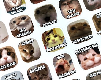 German Teacher Cats Memes Stickers | 40 pcs Vinyl Feedback Stickers