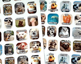 Animal Puns Memes Teacher Stickers Set | More than 150 designs | Buy One Get One for Free | Cute Meme Stickers