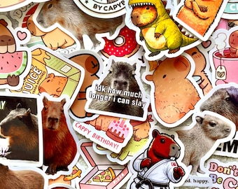 Capybara Funny Memes Stickers | Funny Kindle, Laptop, Water Bottle Decals