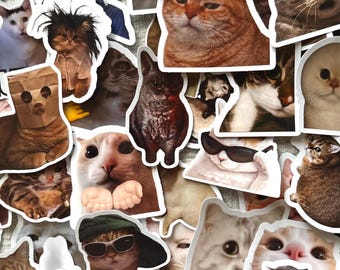 Funny Cats Kitties Memes Stickers | Kindle, Laptop, Water Bottle Decals | Viral meme Stickers