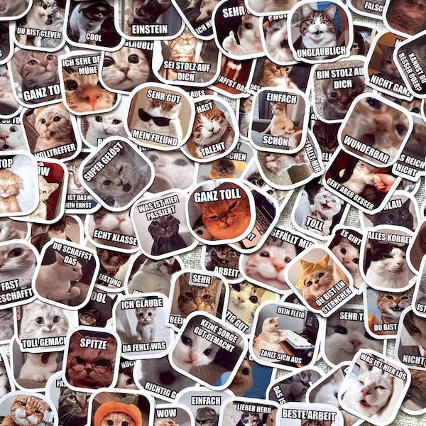 Piezas aleatorias de memes de DEUTSCH Katzen / Versión en alemán / Pegatinas para profesores / Más de 100 diseños / Pegatinas de memes personalizadas