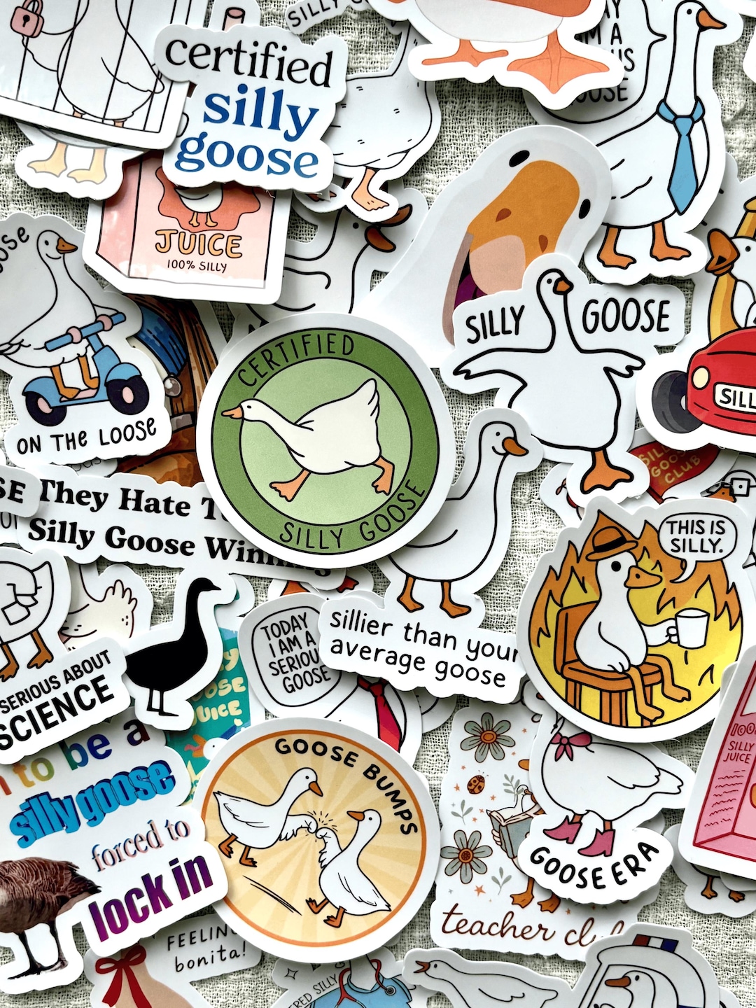 Silly Goose Stickers | Funny Kindle, Laptop, Water Bottle Decals - Etsy