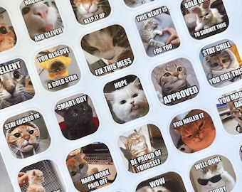 Kitties Cats Meme Stickers | Teacher Feedback, Funny Vinyl Stickers