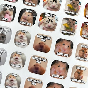 40-delige stickerset voor hamstermemes voor leraar | Meer dan 100 ontwerpen | Hamsterstickers leraar | Sticker kittenmemes | Aangepaste memestickers