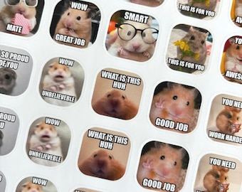 Hamster Meme Teacher Stickers | 40 pcs, Funny Feedback
