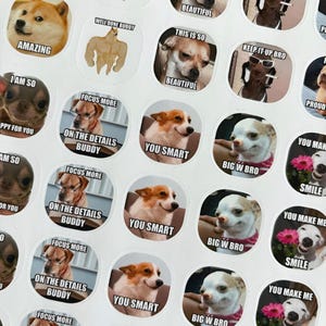 40-delige stickerset hondenmemes leraar | Meer dan 100 ontwerpen | Memestickers leraar honden | Sticker Memes van een hond | Aangepaste memestickers