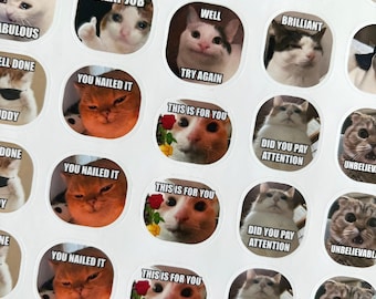 Cat Meme Teacher Stickers | Funny Grading Feedback Set