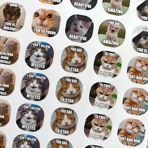 Set di 40 adesivi per insegnanti con meme sui gatti / Oltre 100 design / Adesivi per insegnanti con meme sui gatti / Adesivi per meme sui gatti / Adesivi per meme personalizzati