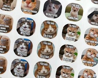 Teacher Cat Meme Stickers | Student Feedback, 40 Pcs