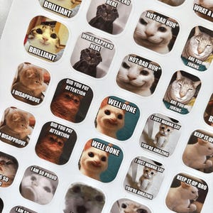 Vol.3 40 pcs Kitties Cats Memes Adesivos para Professores de Inglês | Mais de 100 designs | Compre um e leve outro grátis | Adesivo personalizado